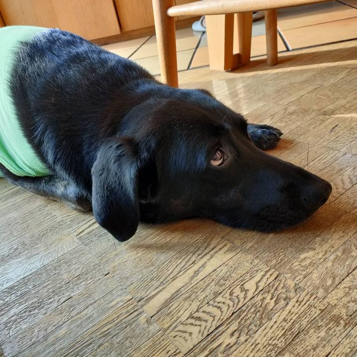 7bccb693 ea66 4227 865c 74d41349a8bd 1637450525080