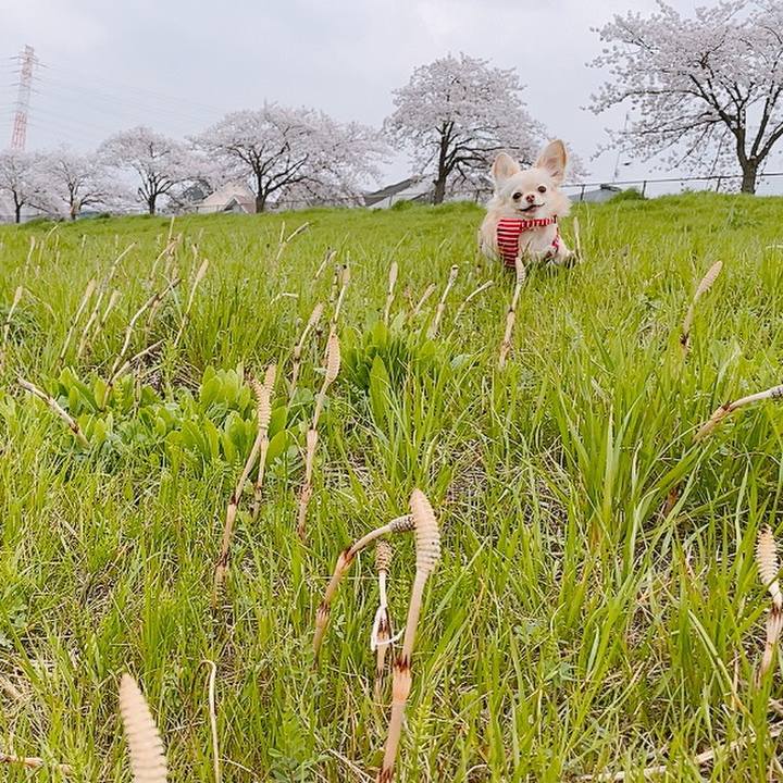 7bccb99c 00f4 4037 ba90 45c8fa33ae87 1617096247916