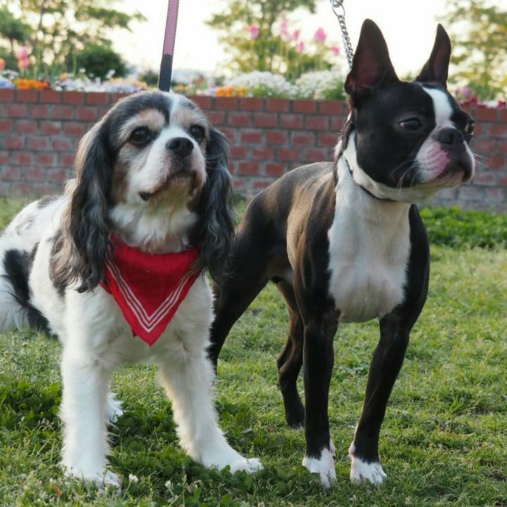 7bccbae5 6ea7 465e 8d72 51cbc78a2200 1524308872243