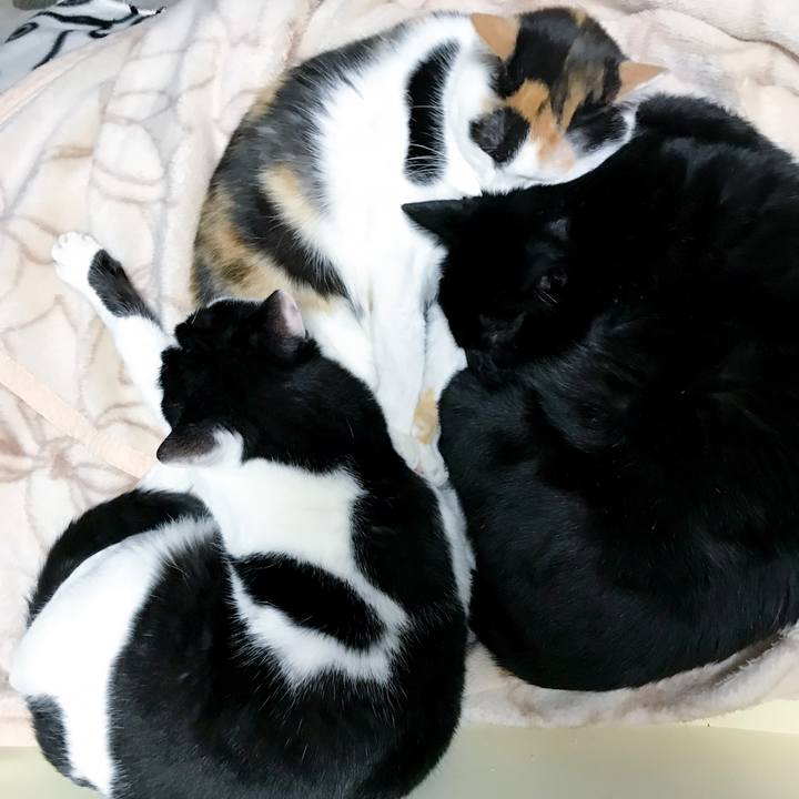 7bccc23f 1d0a 4553 a91b a8292a9955cb 1514126769060