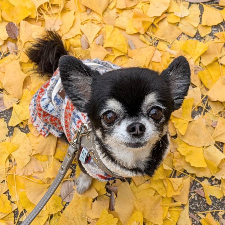 7bcccaae 8ad4 4491 9db9 717458bb19bd 1764541125970