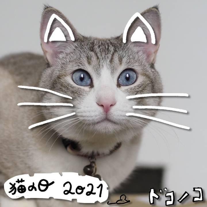 7bcccbec 38b4 448e a576 e41fa9937c44 1613987070452