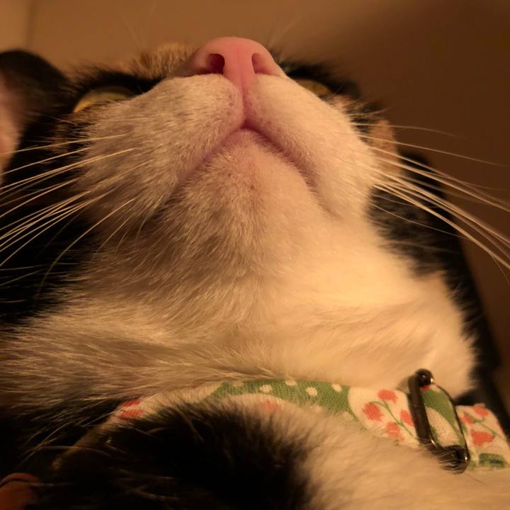 7bcce4bc 7394 4e63 a8f7 1bf29ea78838 1611242703072