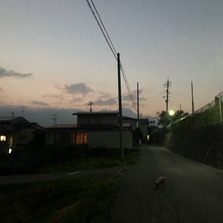 7bccf5bd 68b7 499c b48f f5ccf7544019 1566043165074