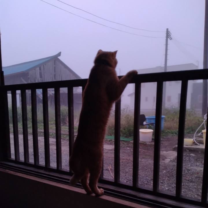 7bcd044f 6ee8 4e50 8ae8 832228827197 1665004965880