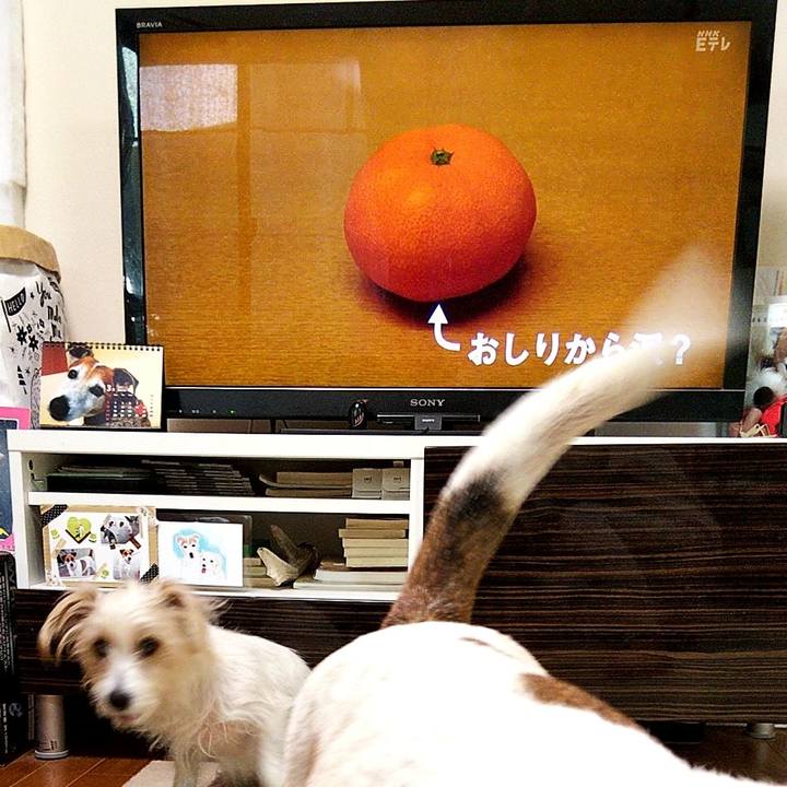 7bcd0d99 6f34 4d85 ae1a 90ba89ced5dc 1585001526940