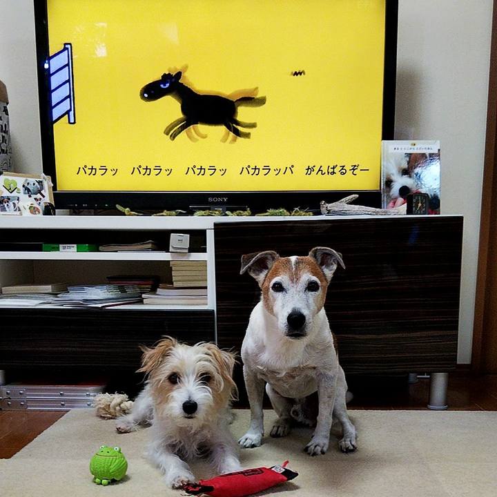 7bcd1b6f 7515 4143 848c eb05998b4fd9 1568932587990