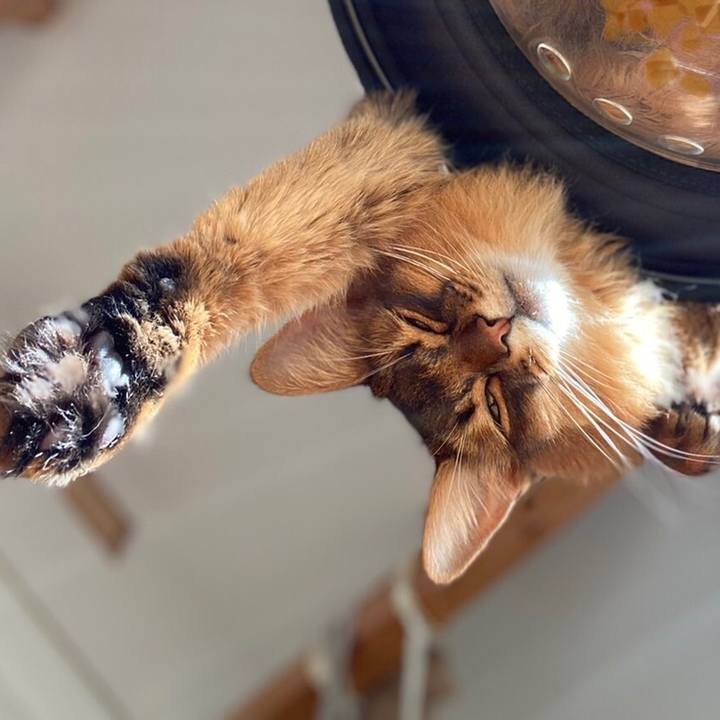 7bcd30c9 2b4a 4efa 89d2 43e53476534c 1643877033783