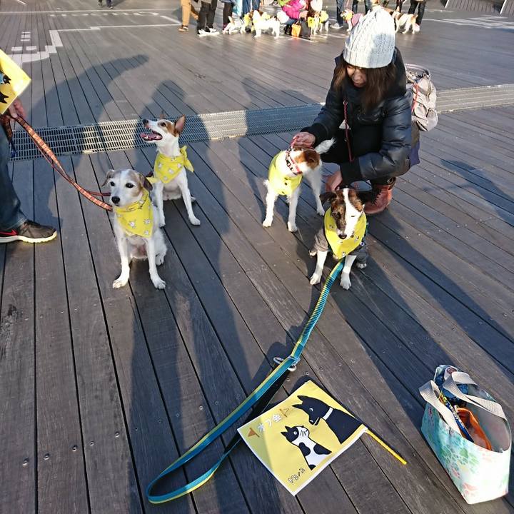 7bcda874 77b1 4af8 945b c221847fe456 1516517322170