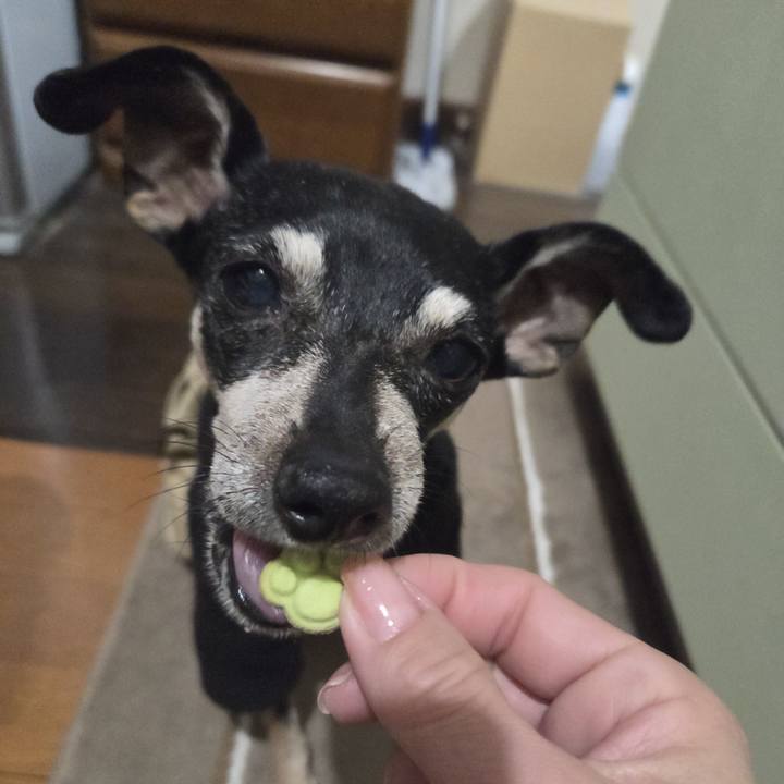 7bcdbc93 8493 4d22 9b31 8f1449c30434 1768938509641