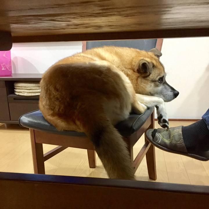 7bcdc0bb 4968 4199 b091 239758a37616 1573384489798