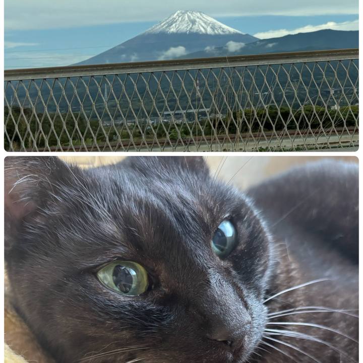 7bcdca4c bf1e 4fb9 b91b 60e8739d03e6 1761180733203