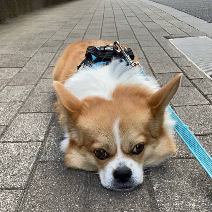 7bcddbb4 5d62 4722 ab56 91185a676c37 1660002057636