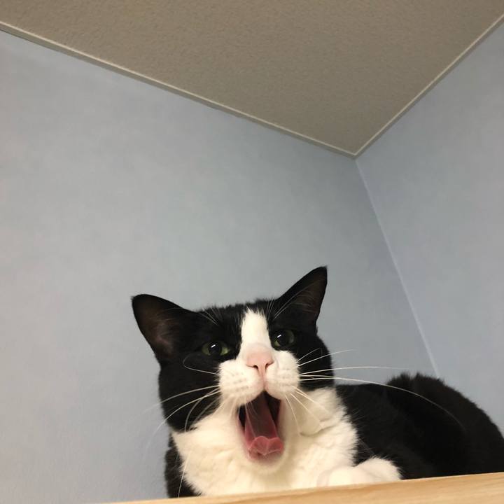 7bcde0d4 7308 4091 85ba c47e974bf26b 1552734824475