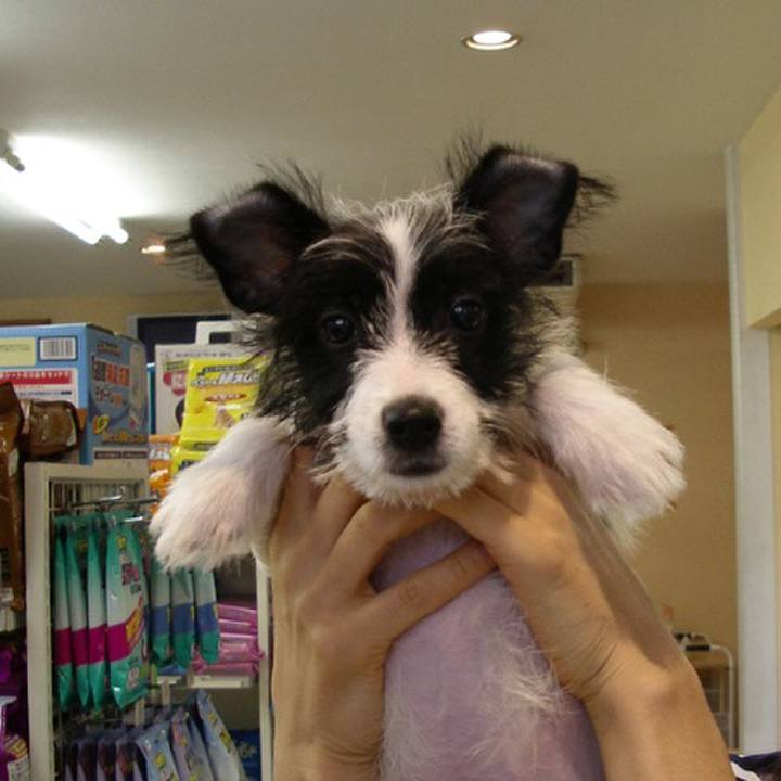 7bcde0d6 57a7 46fa ba1e 5c4fe65e7f9e 1691103304979