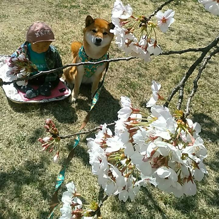 7bcde90e 777a 46b1 994d ad9405f8b79f 1554087837777