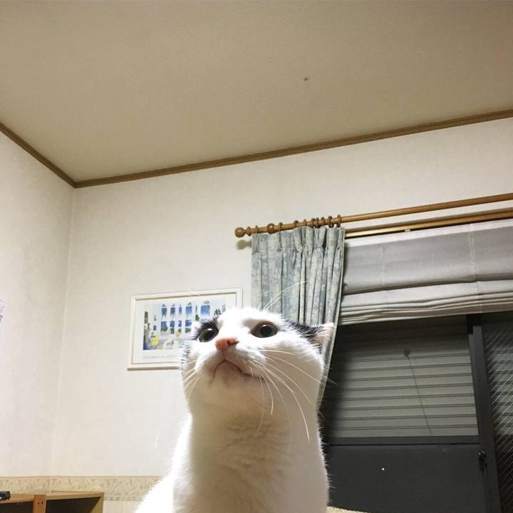 7bcdfdb4 7b91 4a77 a9bf 4ad31a6f59a6 1537195313780