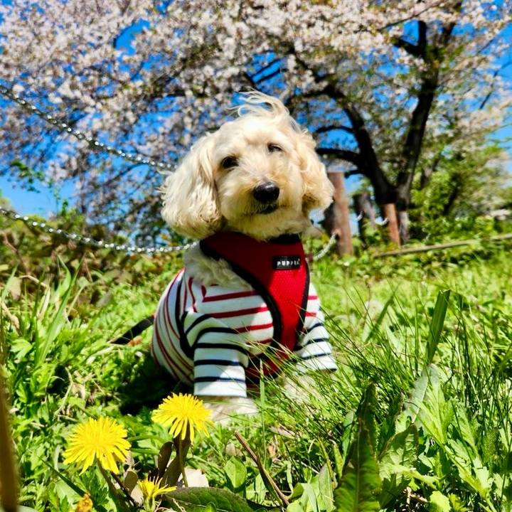 7bce010f 80a4 47d6 b7b3 f5b7d19536b6 1775635641070