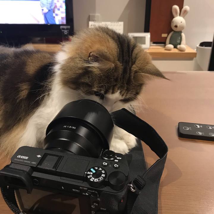 7bce9b59 9313 48b3 a046 4ceb6dd068cb 1561637590811