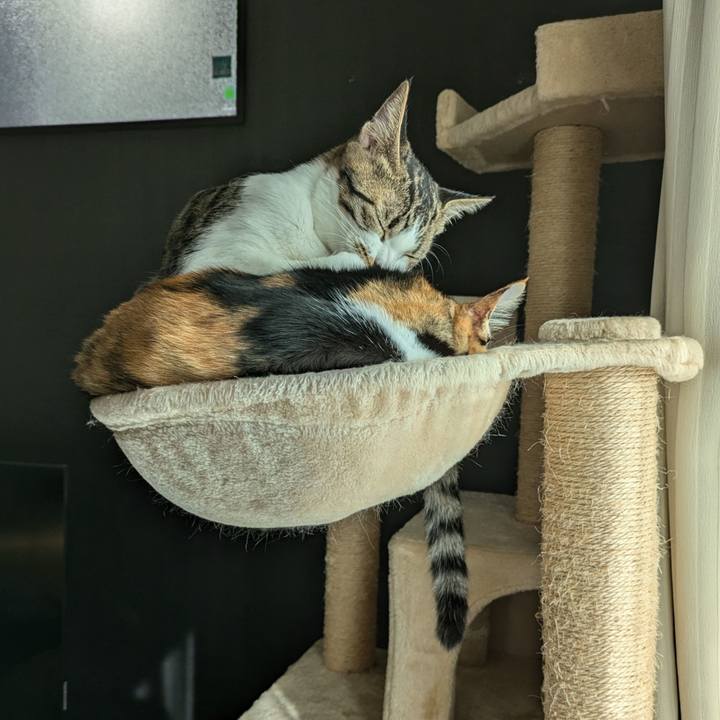 7bceb5e3 a461 48da 953e b69f9e046cde 1729658537313