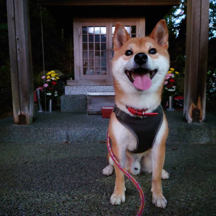 7bcf00c4 1764 4c59 baf7 6c2e6794470b 1760697596119