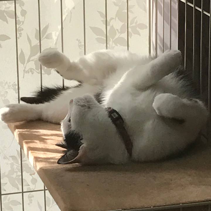 7bcf3348 07e1 4d31 925d 380edd2367df 1524958853606