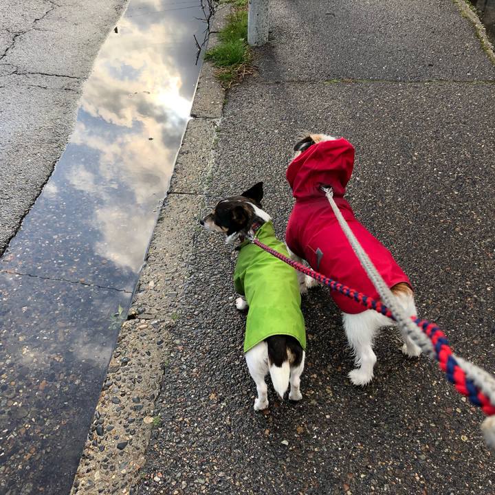 7bcf50f7 2b4d 4b43 8b9f 052d6311e354 1554333959500