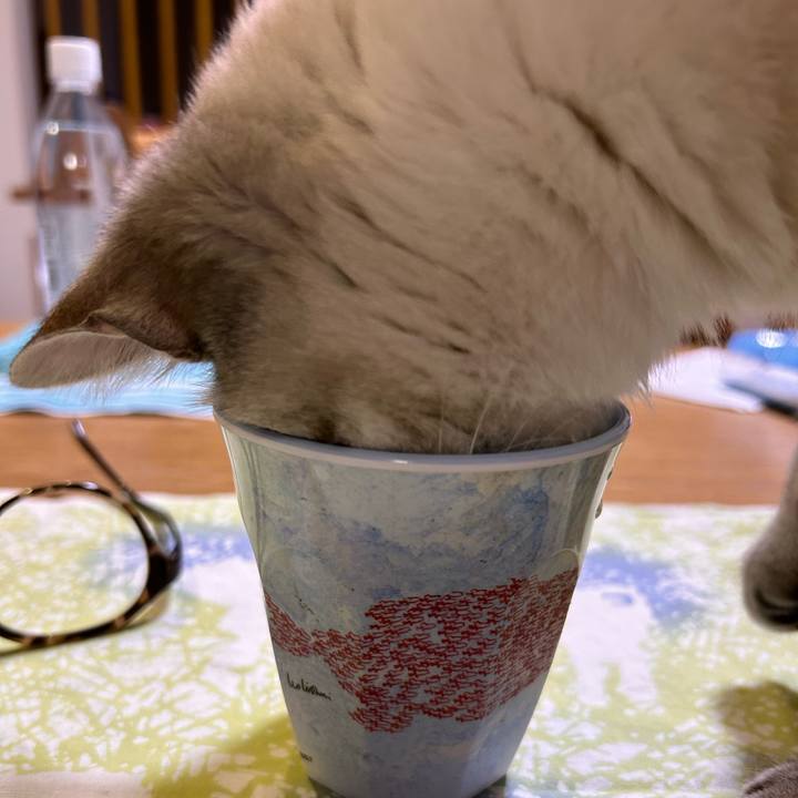 7bcf5212 f246 408f 806c 66b87e0a5c22 1745759964883