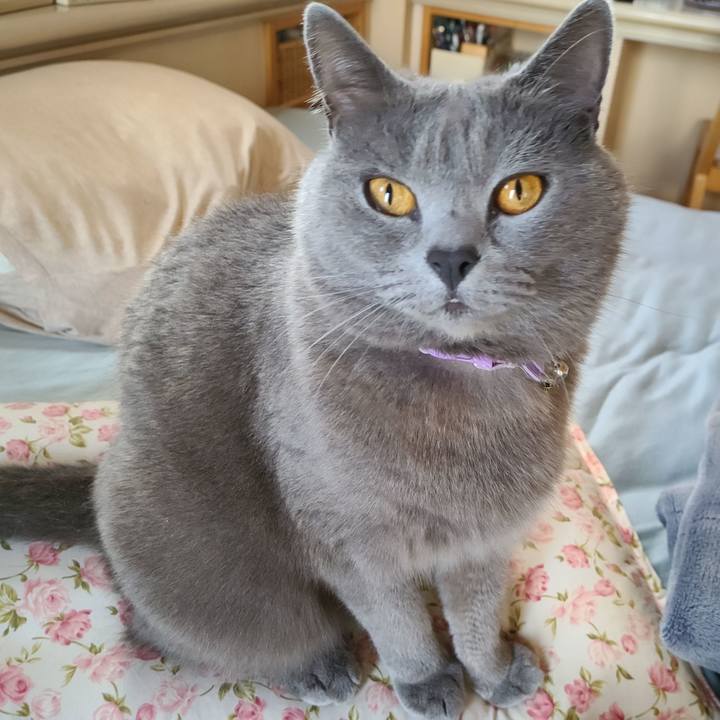 7bcf70d1 2722 48ee a857 042a074b26b5 1625961389648