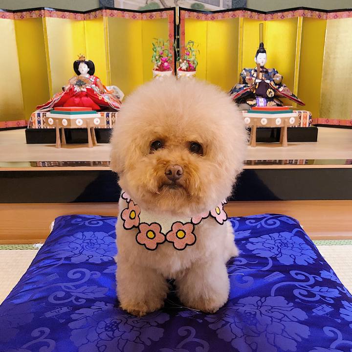 7bcfbd14 c7e3 439e b306 0ab4484daa83 1583210107654