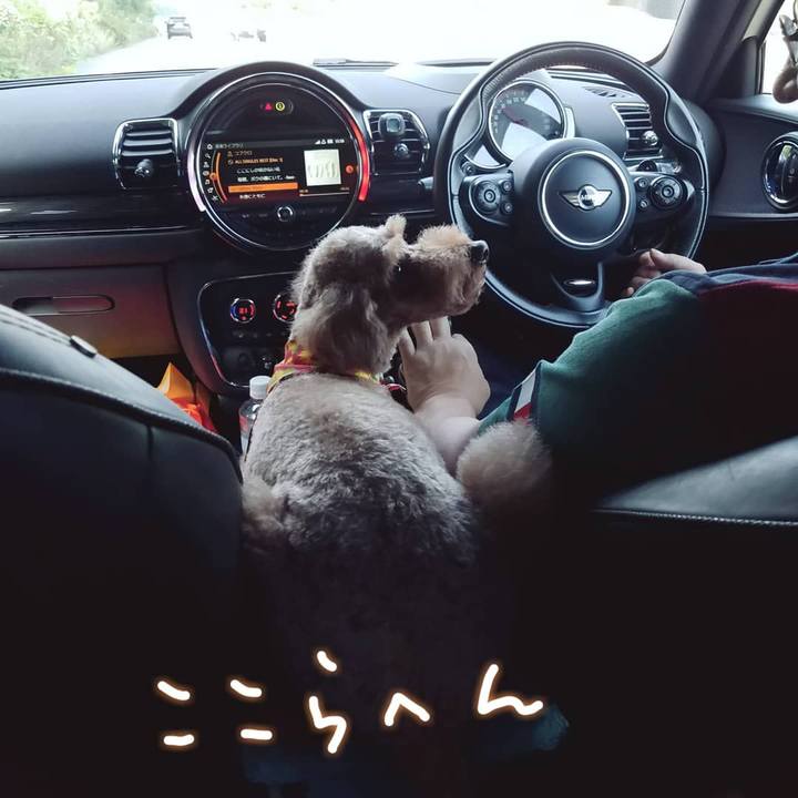 7bcfdb9e f32d 4d06 b429 0eb4aa74f871 1597538793224