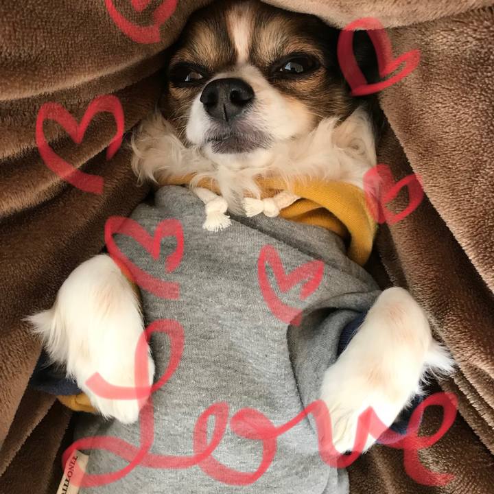 7bcfde04 375d 44bd 917f 473917b18ec8 1518358206066