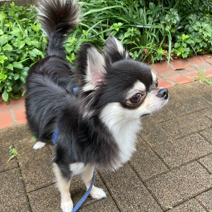 7bd04e91 0b10 4b53 b777 c828a49e815e 1629092633403