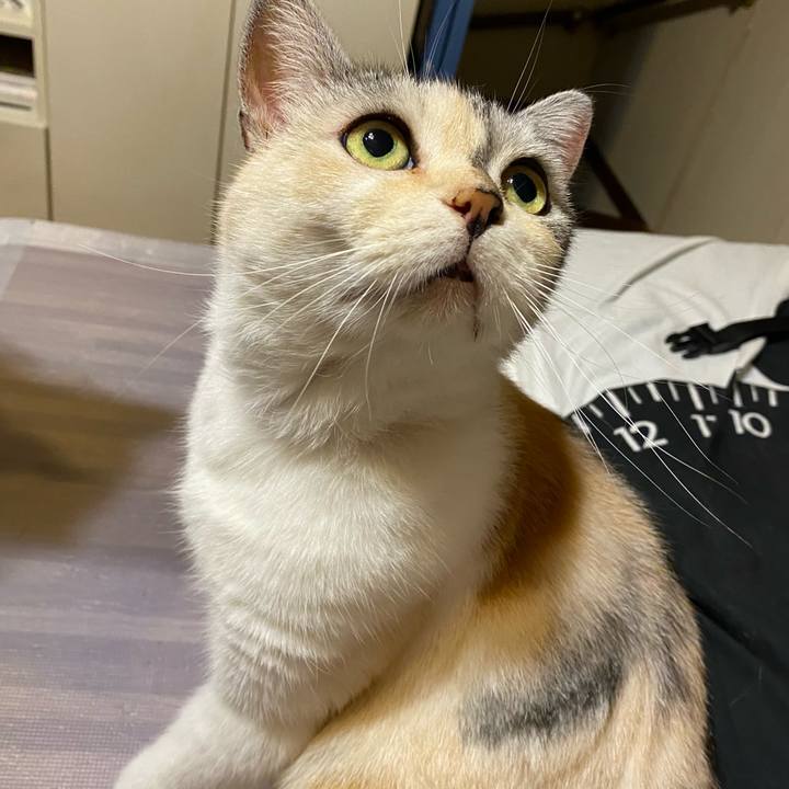 7bd07195 a4f5 4c4b b43f 7c0ea46be5d4 1629025848807