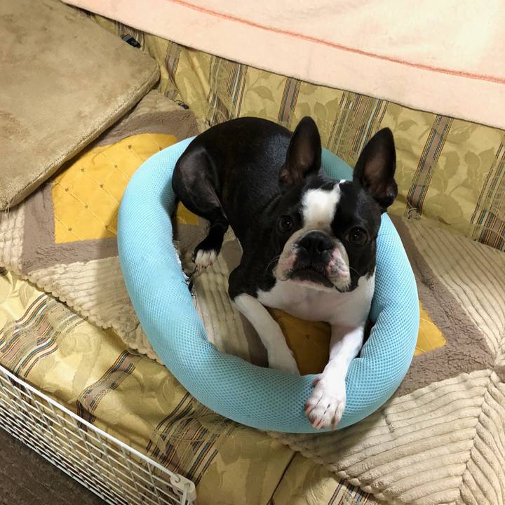 7bd07671 65df 499c 95a1 44099c105330 1537847934870