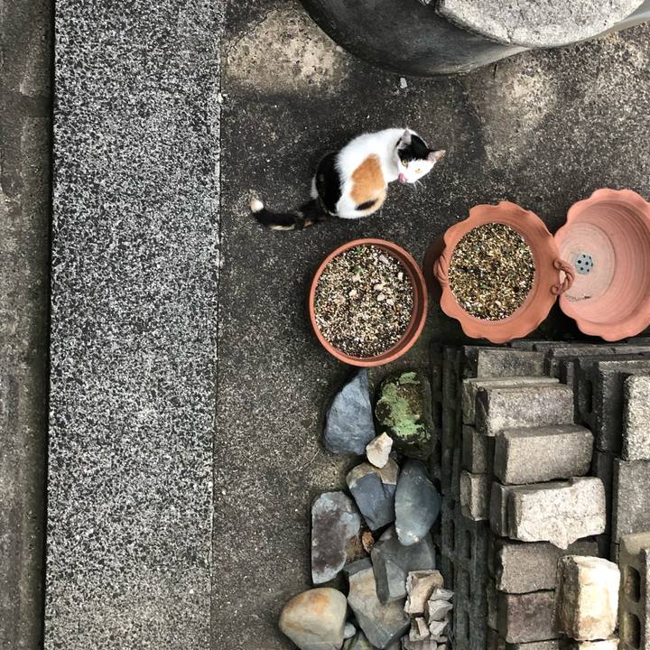 7bd09b33 5974 4b7e a617 db818bd8bedb 1623493164790