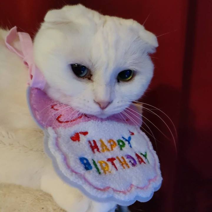 7bd0ab87 c81b 4bbe 92cb 5794ea80c13c 1679396131705