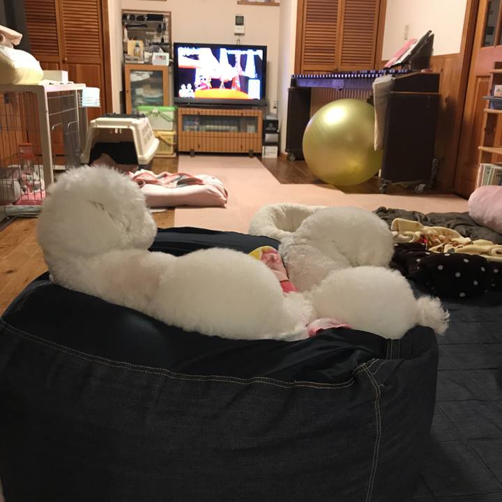 7bd0de1b f96c 4eb9 a045 db1ff89e750b 1575543125786