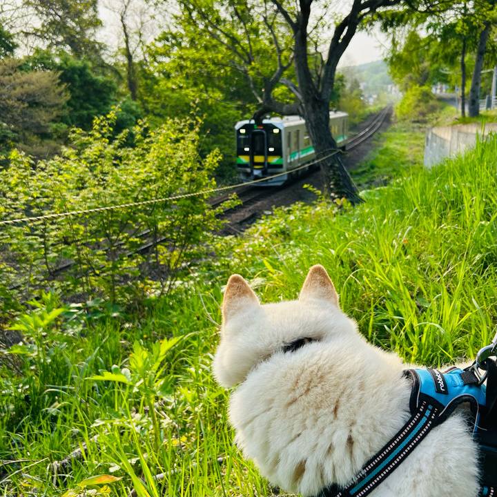 7bd0f8a2 876a 4355 b370 839780921215 1684273589444