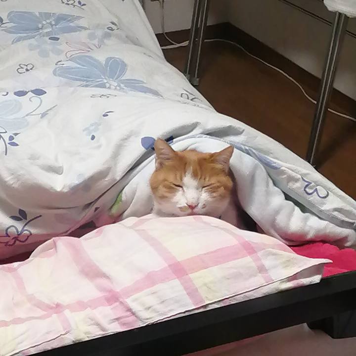 7bd123a7 26c6 45e6 a7e1 9aeed0ab2e07 1640554046627