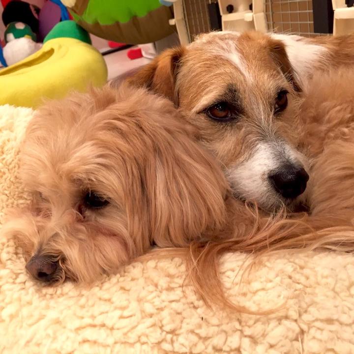 7bd14dcf 0881 4f1e 8a3d 93cae7a9f039 1554907549895