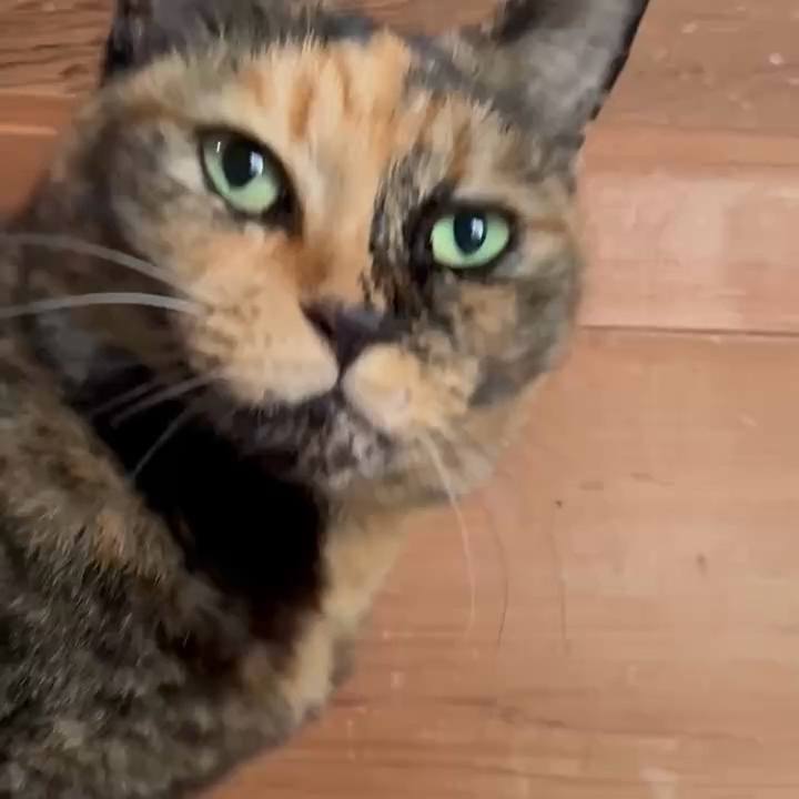 7bd17aaf 7ffe 40d3 a0c9 66b2b8be37b6 1762233948592