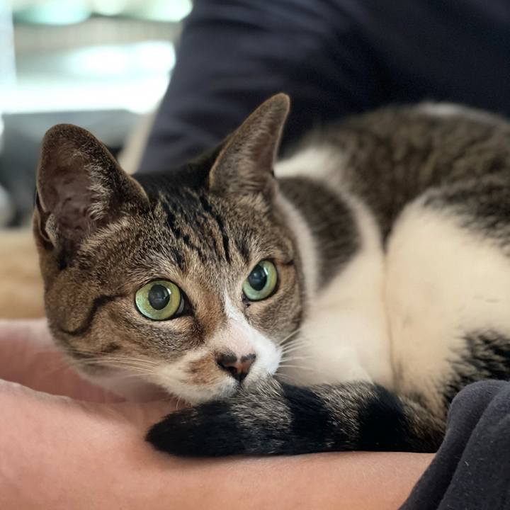 7bd18572 b7f2 456c bed2 0e18b694967f 1618881857329