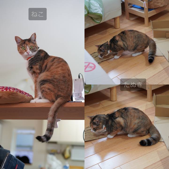 7bd1a72e 3a45 44bb bd19 db68bbf8685a 1623927440711