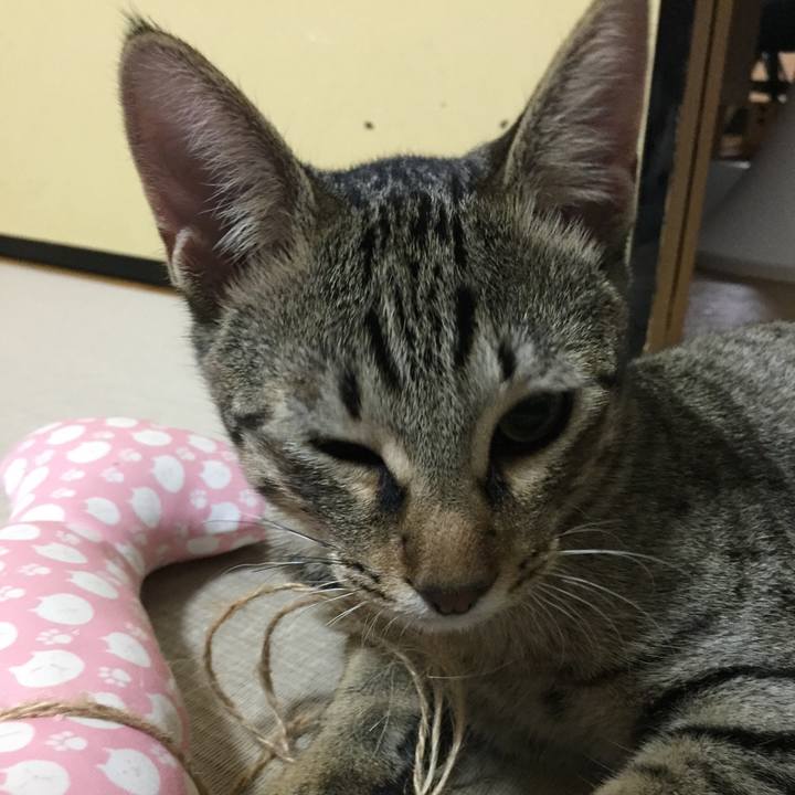 7bd1b0cf ba0b 46dd 8db5 5ac1e124b1e8 1509019852258