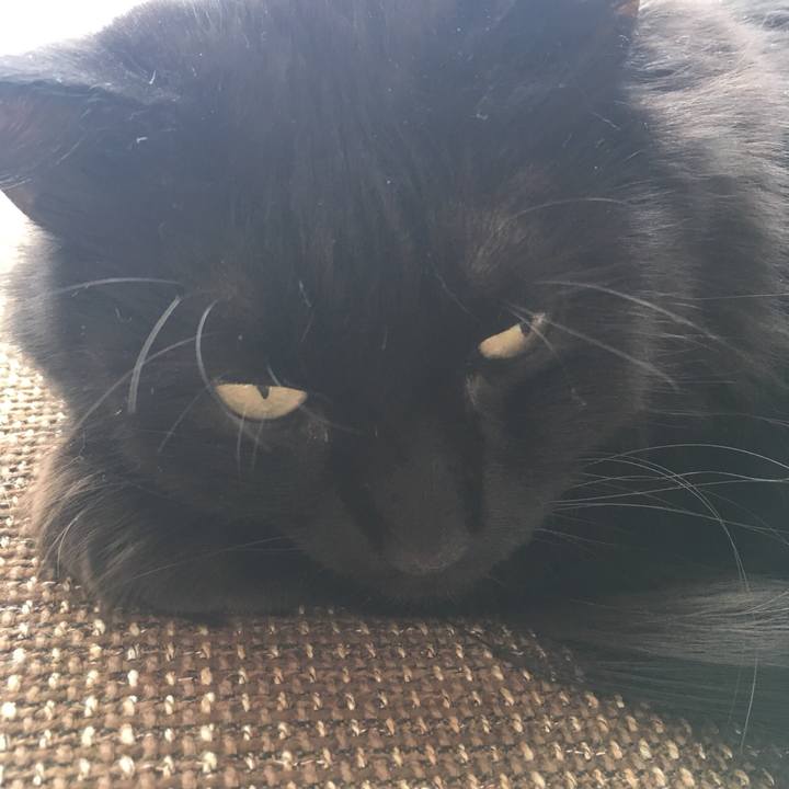 7bd1b274 b54e 43e2 8b56 77b64abd367f 1518065075905