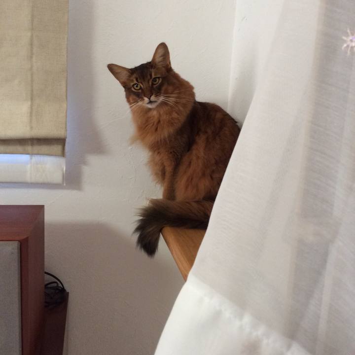 7bd1bd27 1e04 4321 9528 5552bf1b7b0b 1605656796476