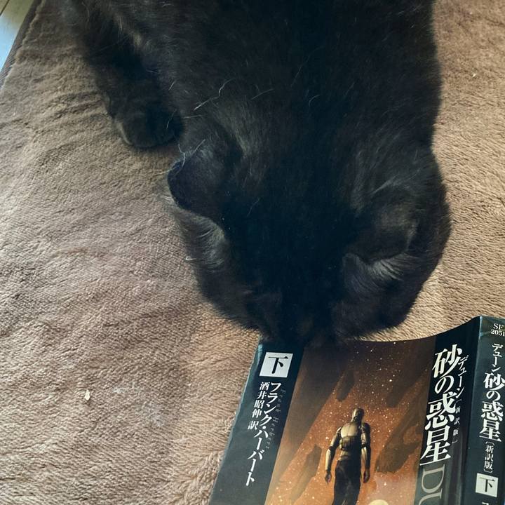 7bd1cb9f b0f5 4991 be4c f779e3e289ad 1634695766070