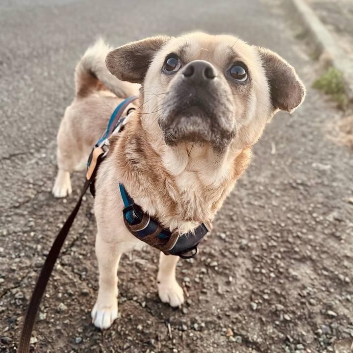 7bd1efc2 1969 437e 821c db70d63244f8 1771403751612