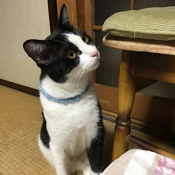 7bd22742 caaf 47b2 8be7 107608efa946 1660830296485